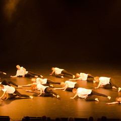 d7k_1232_carrysize_cr_44460658564_o.jpg